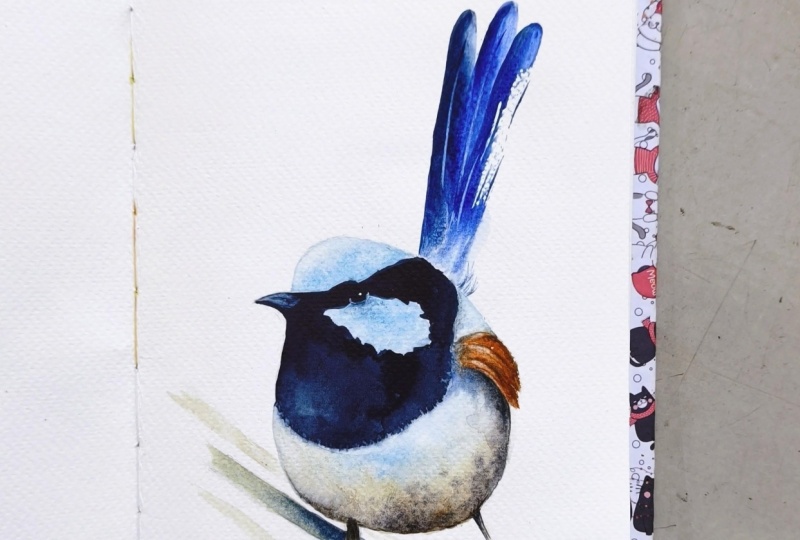 Blue Wren Watercolour