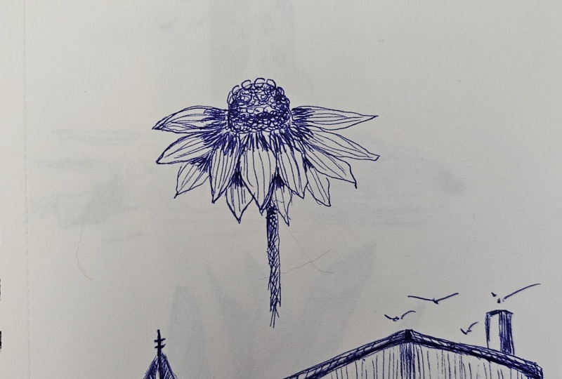 Ballpoint sketches