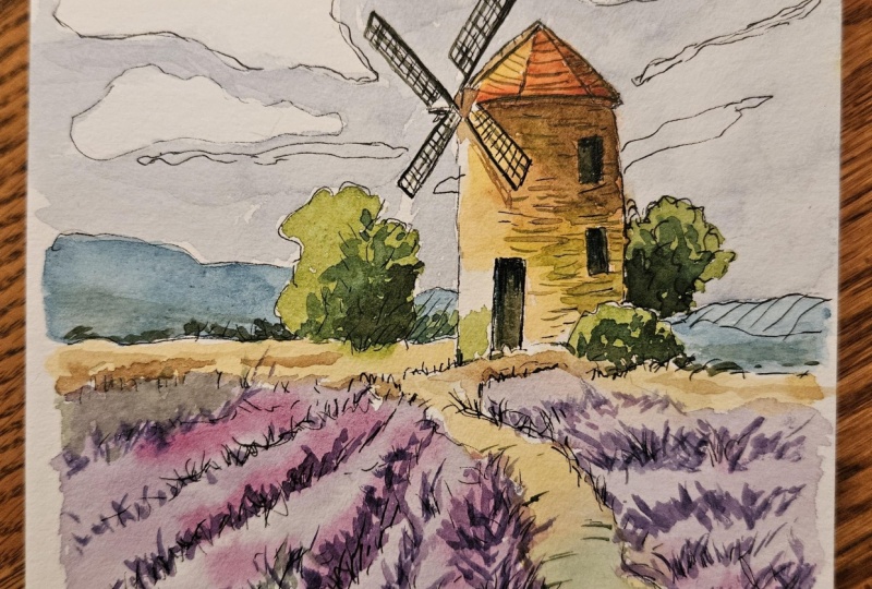 Windmill in flower field
