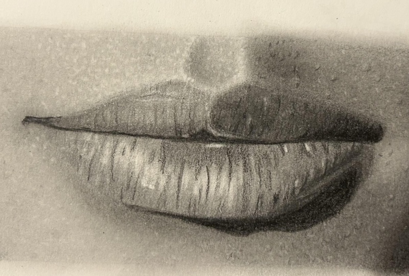Part 5 - mouths