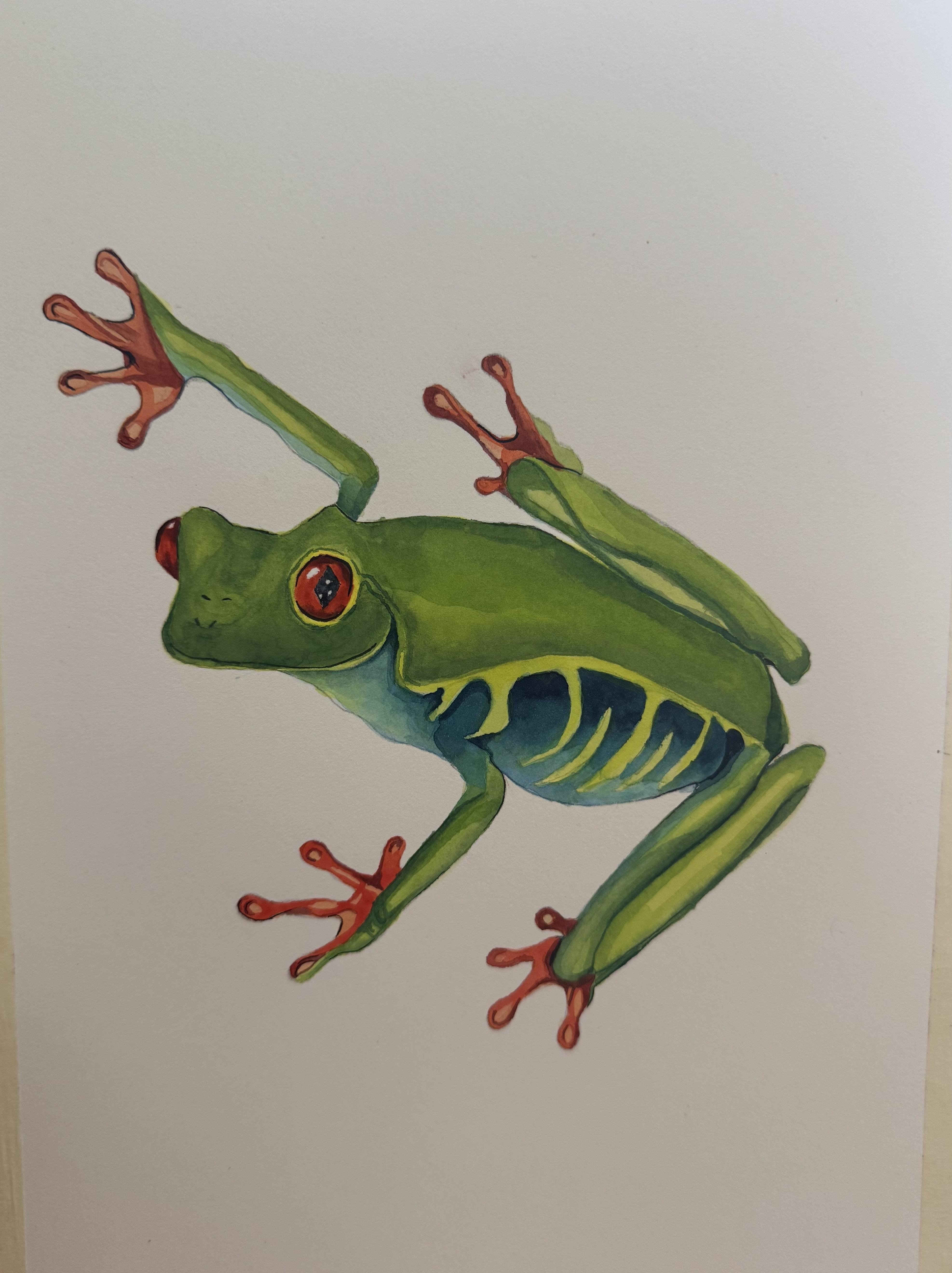 more-projects-from-class-img