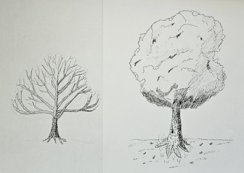 more-projects-from-class-img