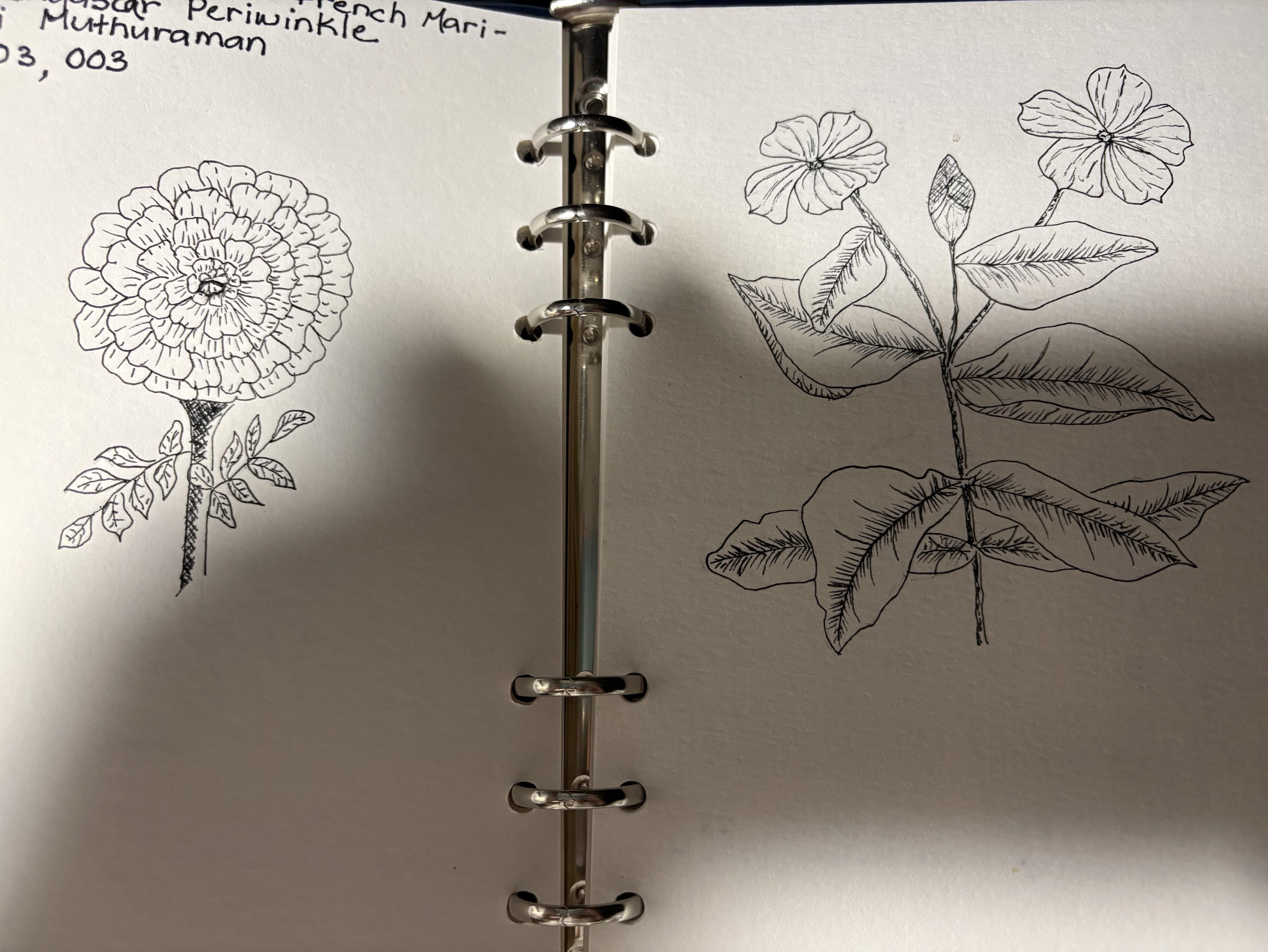 more-projects-from-class-img