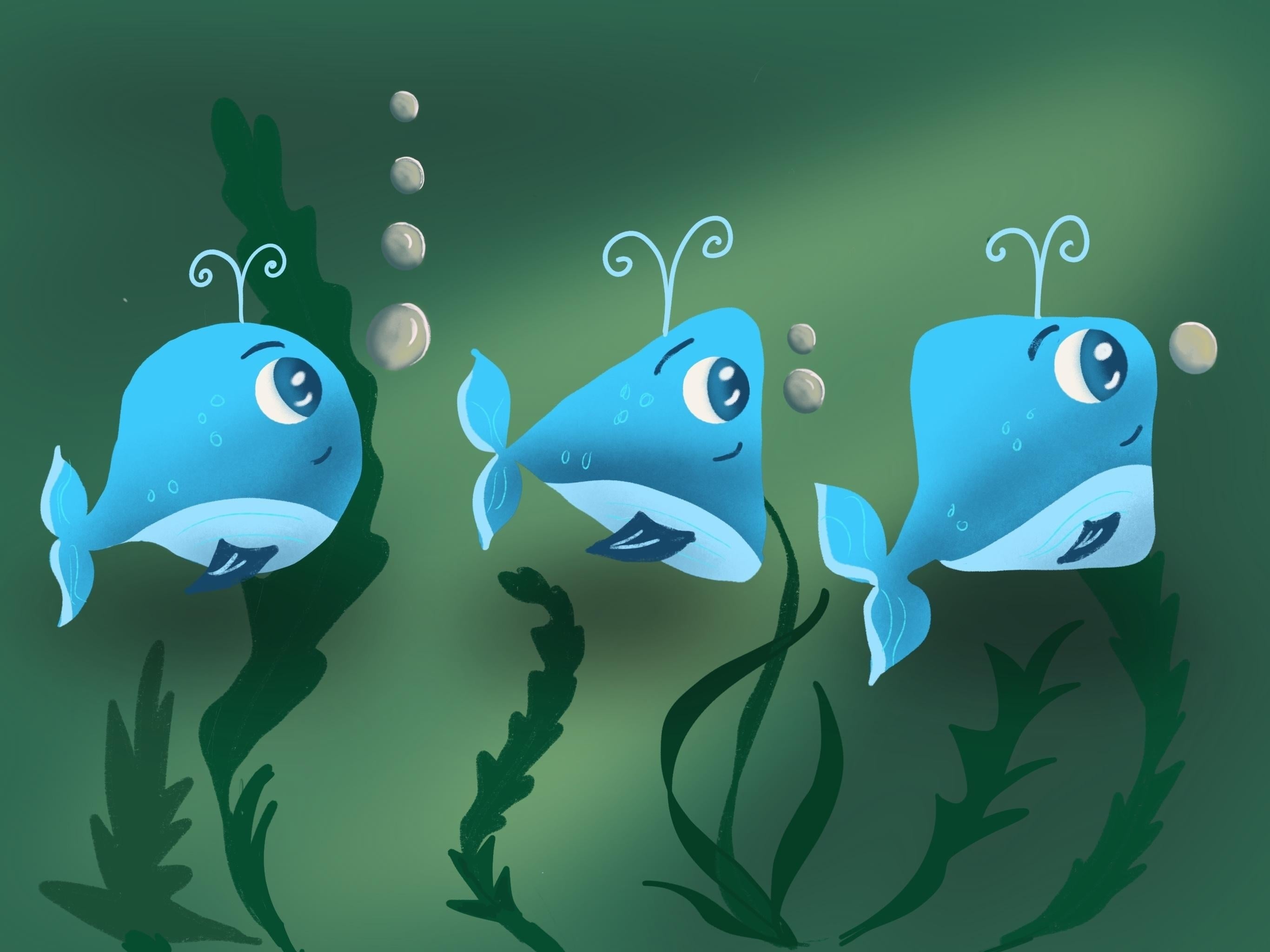 more-projects-from-class-img
