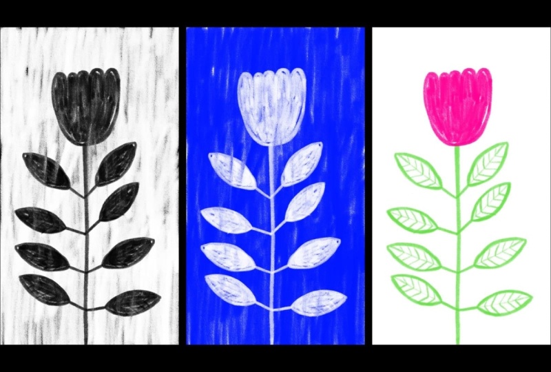 Examples animations