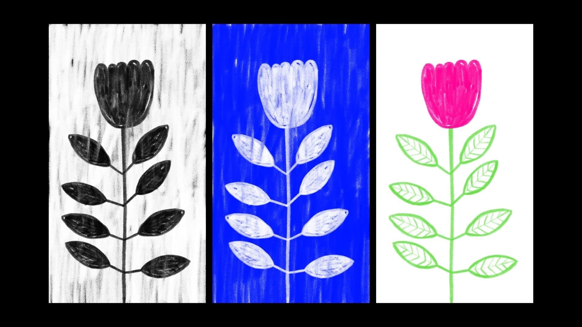 more-projects-from-class-img