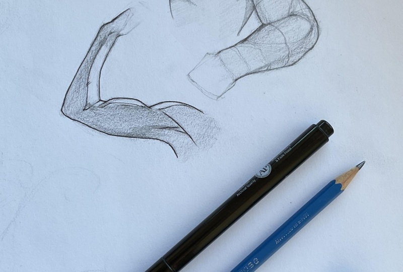 Project for the course “How to Draw Arms”