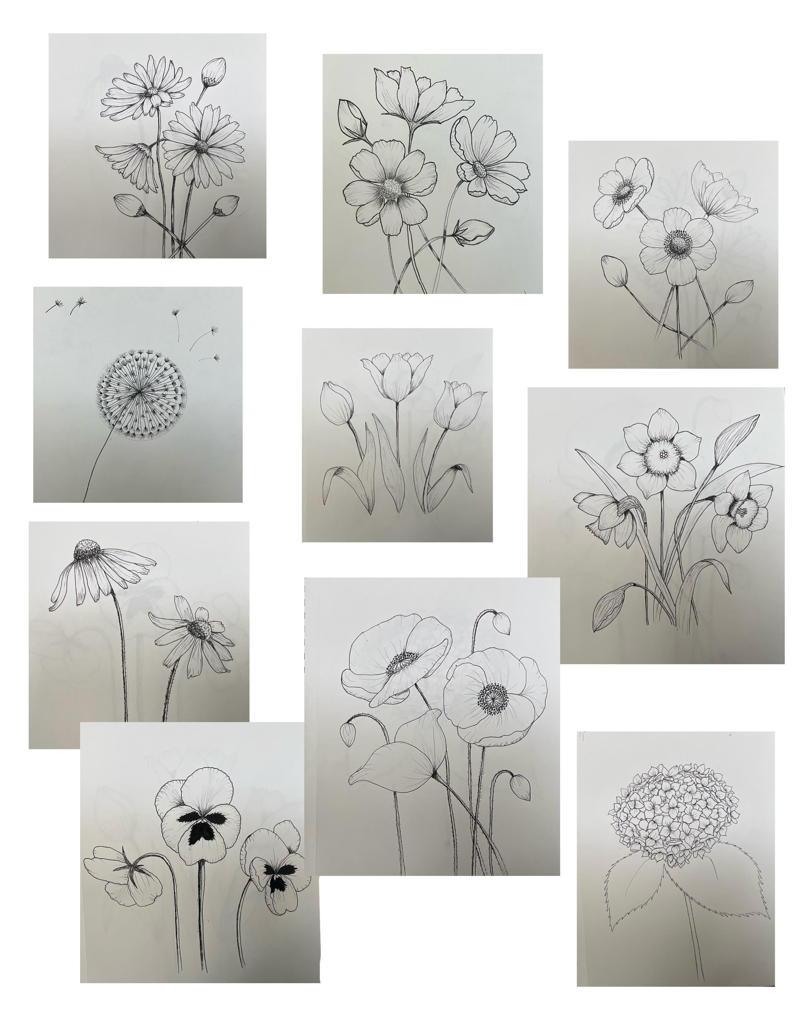 more-projects-from-class-img