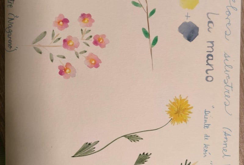 Mis flores Silvestres