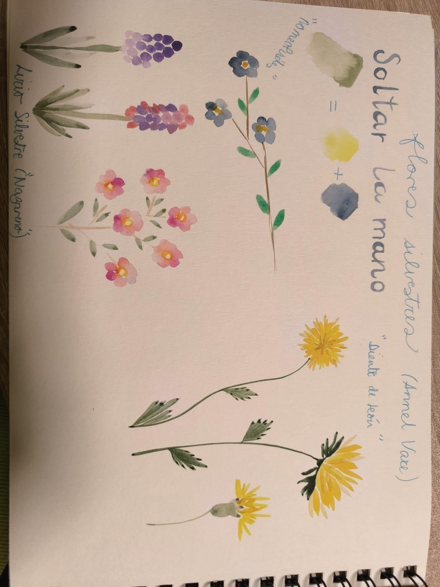 more-projects-from-class-img