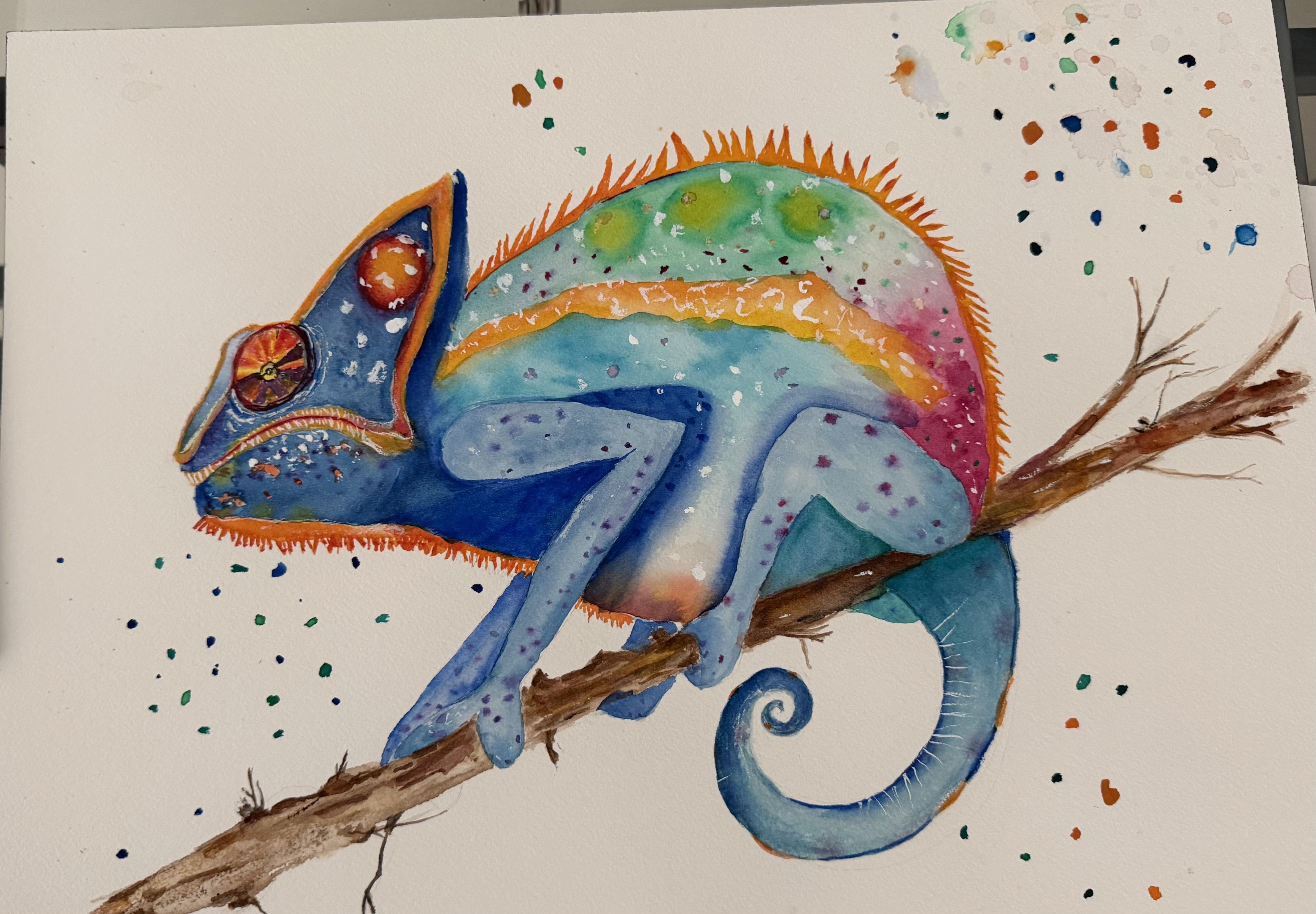more-projects-from-class-img