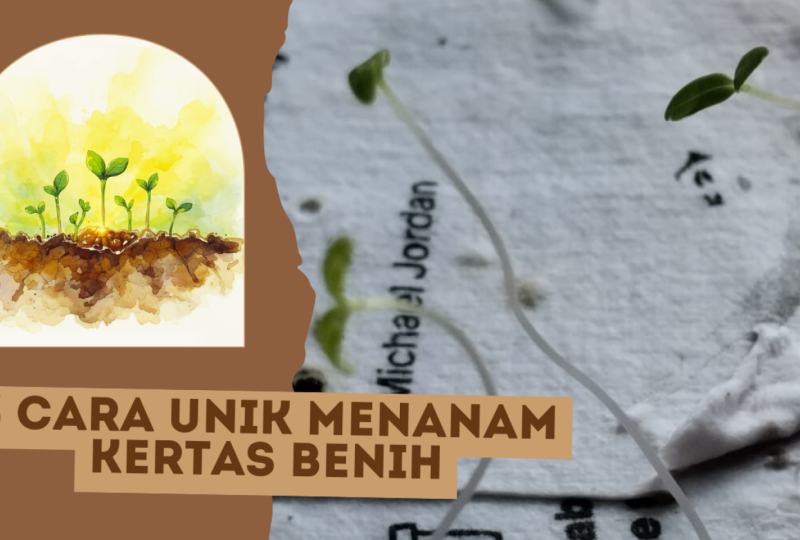 How to Plant Seed Paper
