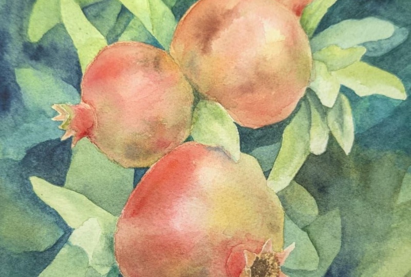 Pomegranates
