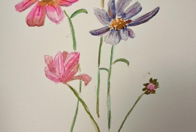 Cosmos