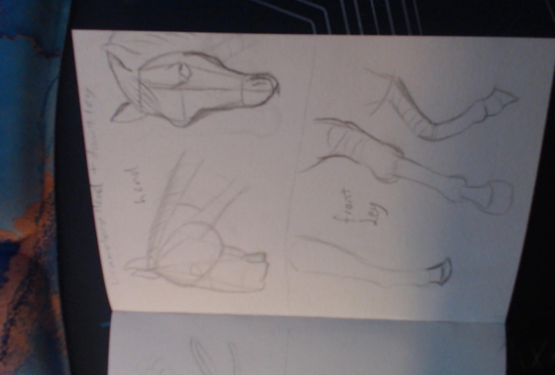 My Horse Drawing