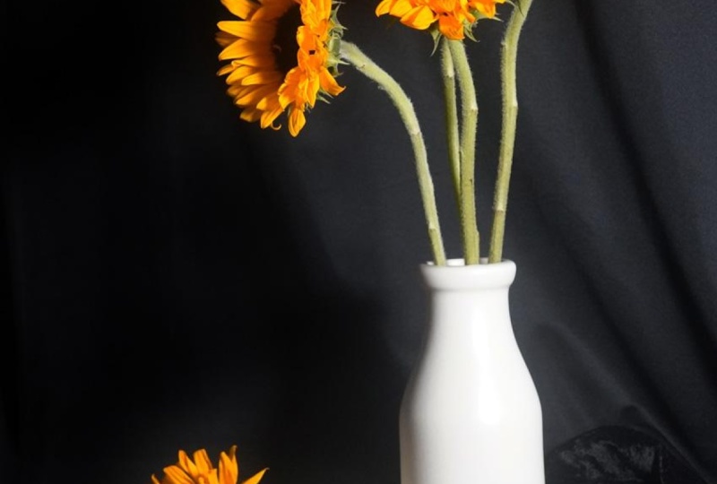 Still Life and Death