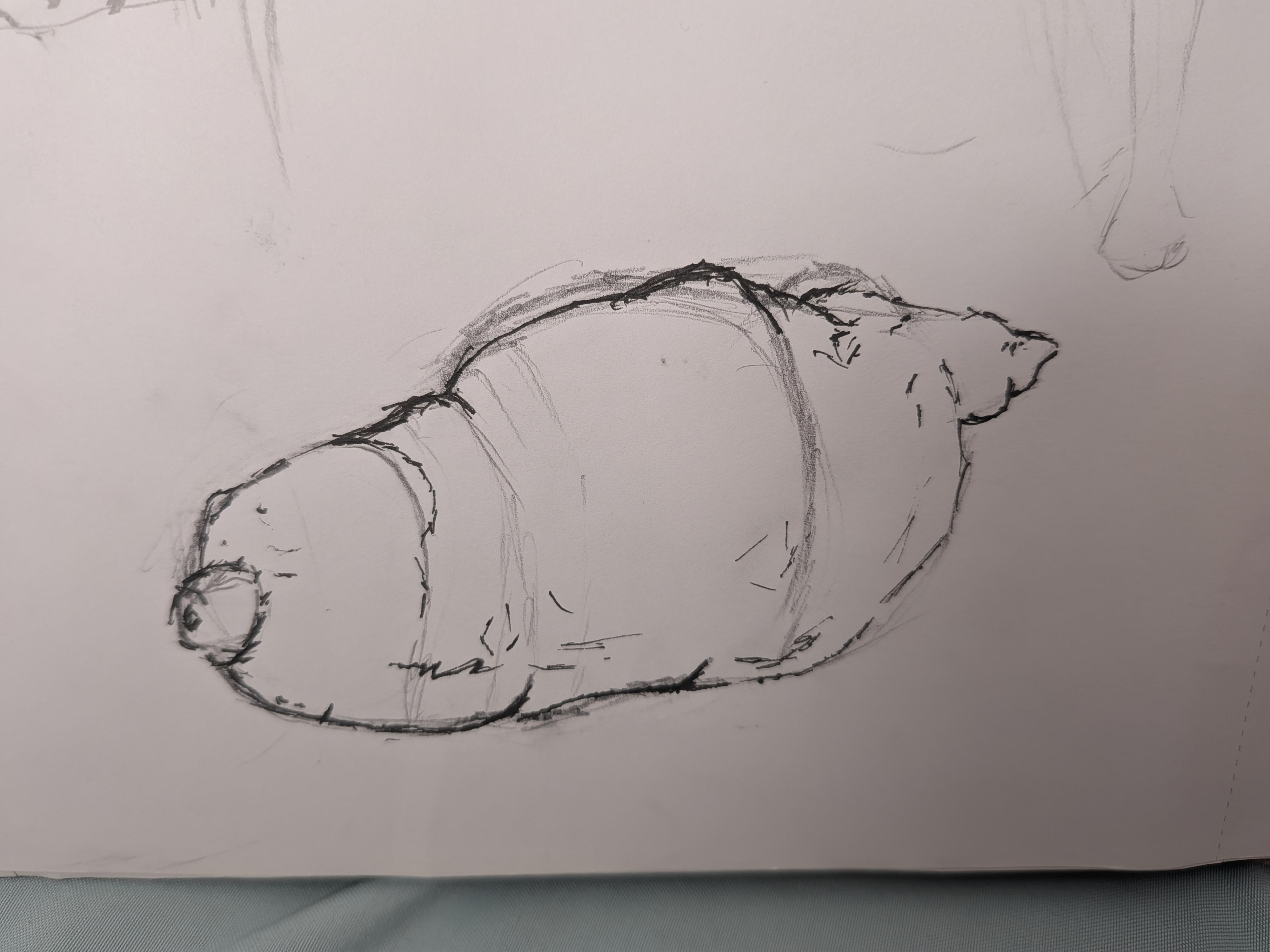 more-projects-from-class-img