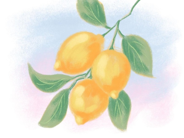 Sketchy Lemons