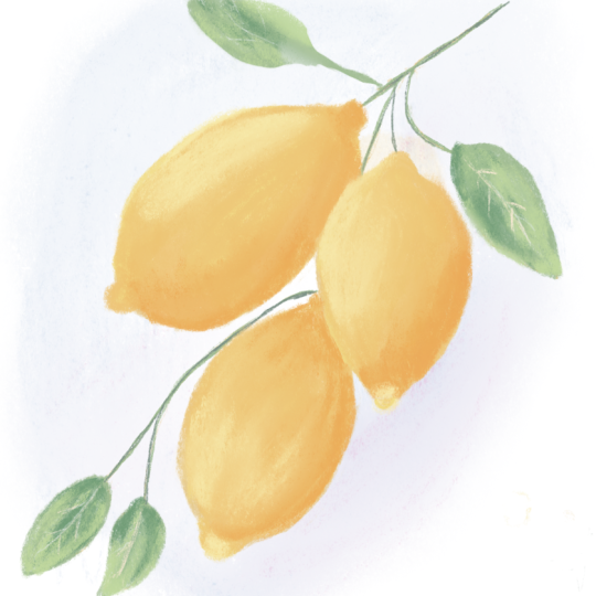 Quick Lemons