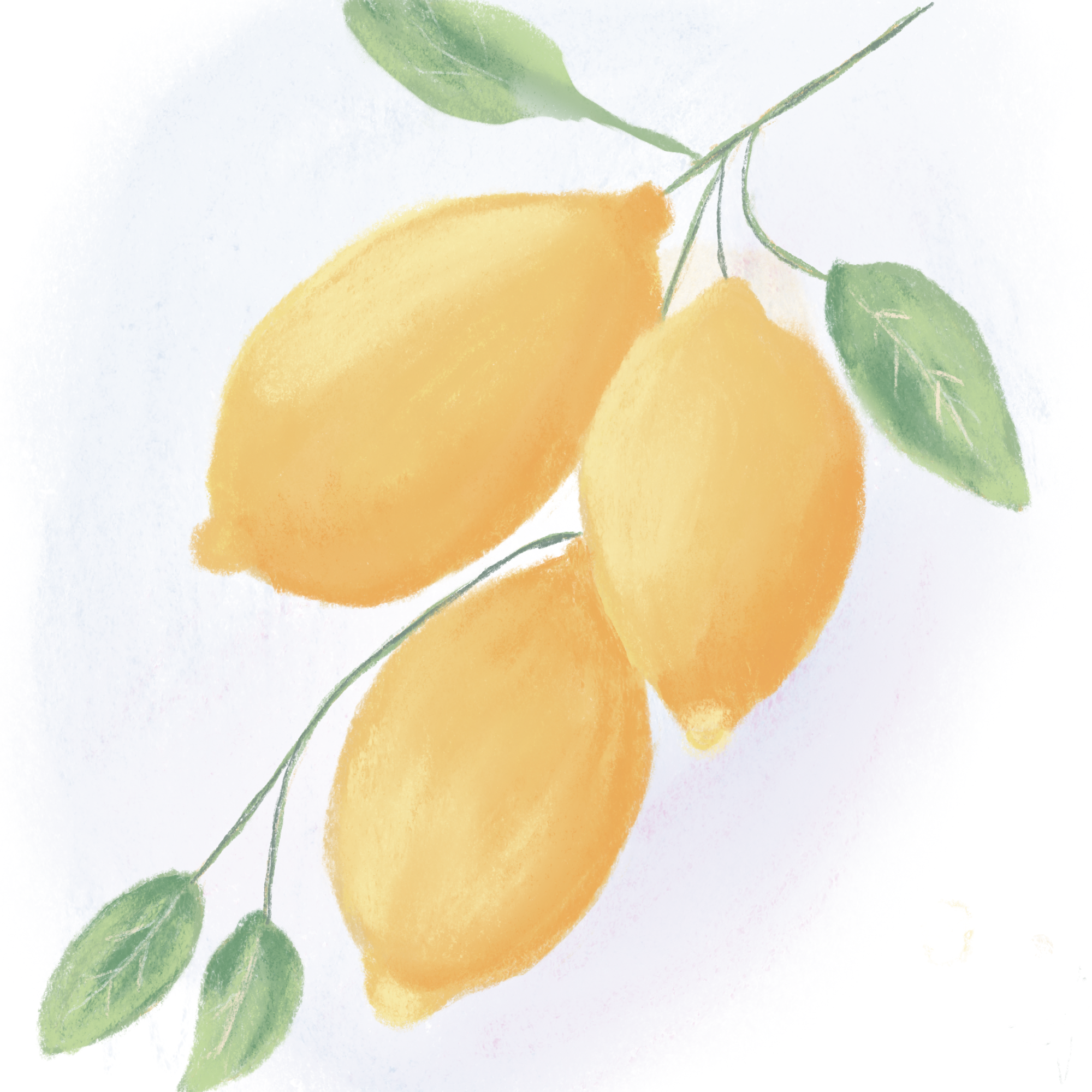 Quick Lemons - student project
