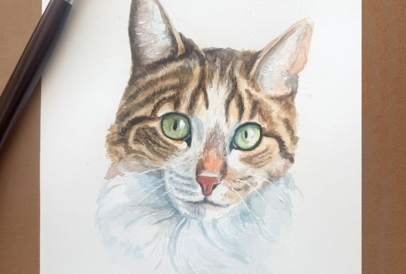Painting and Rendering Fur Practice Cat