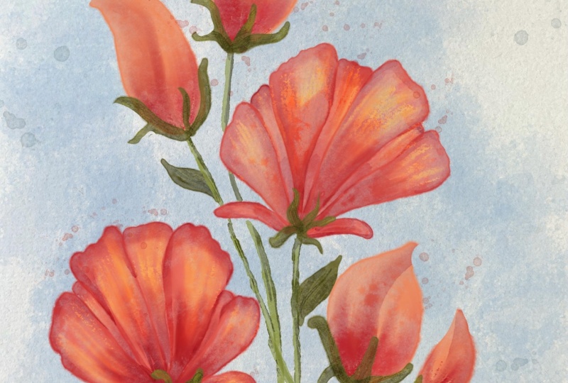 Loose watercolor florals