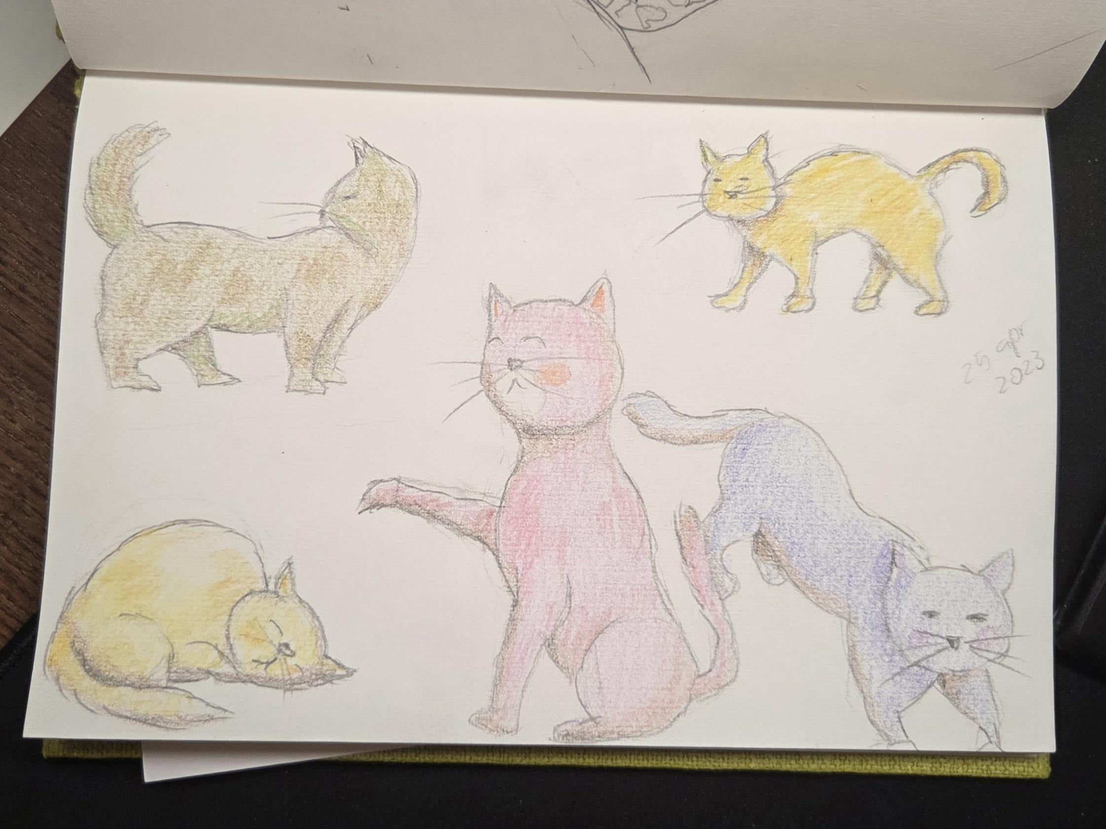 more-projects-from-class-img