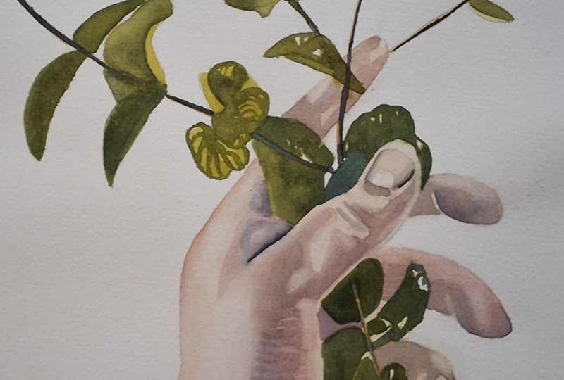 Watercolor  hand with botanical elements