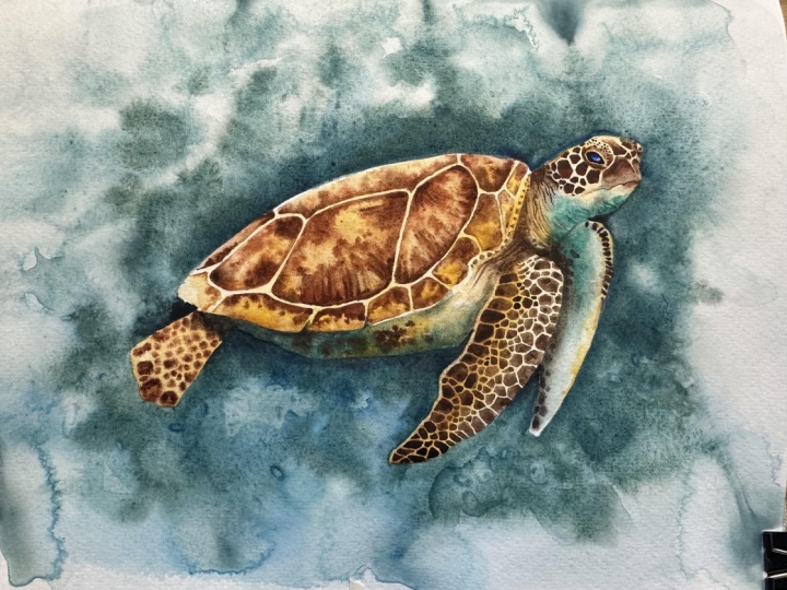 Watercolor sea turtle