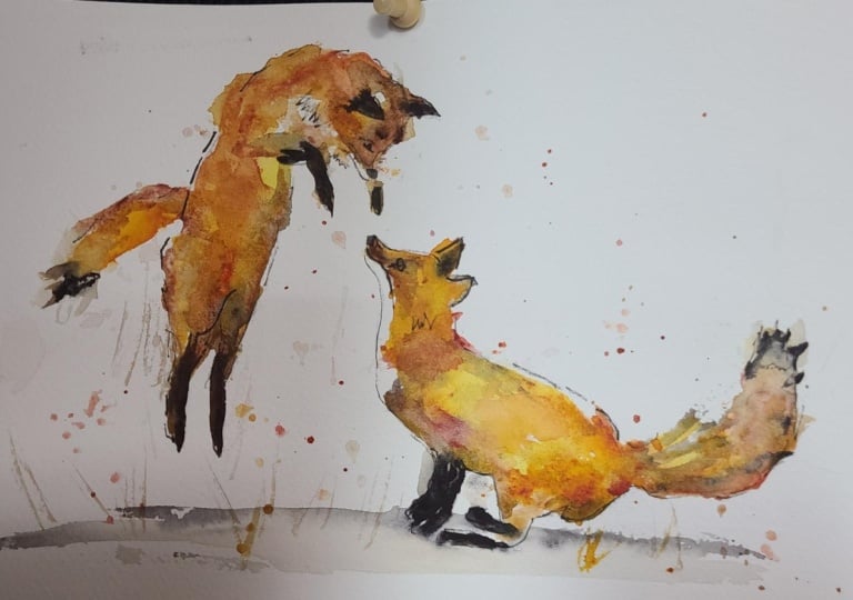 Playful Foxes color, gesture, movement