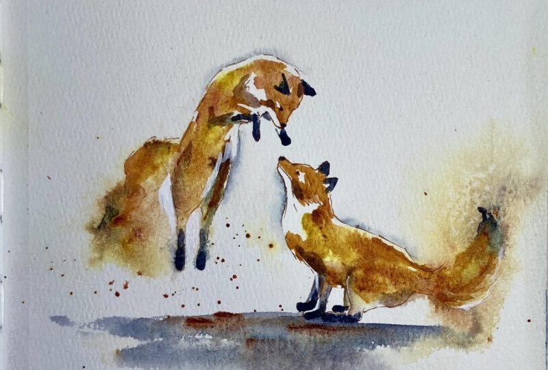 Playful Foxes