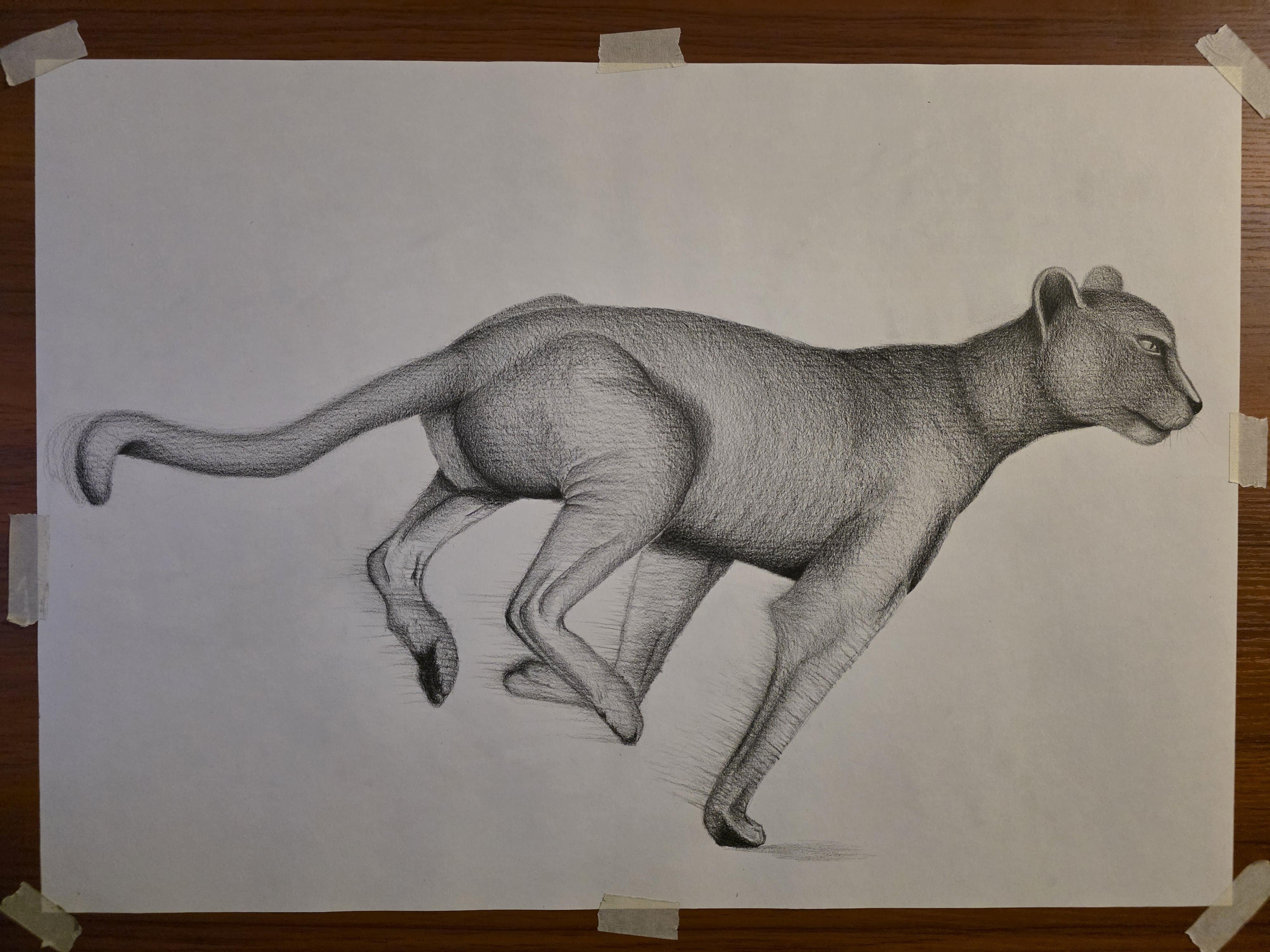more-projects-from-class-img