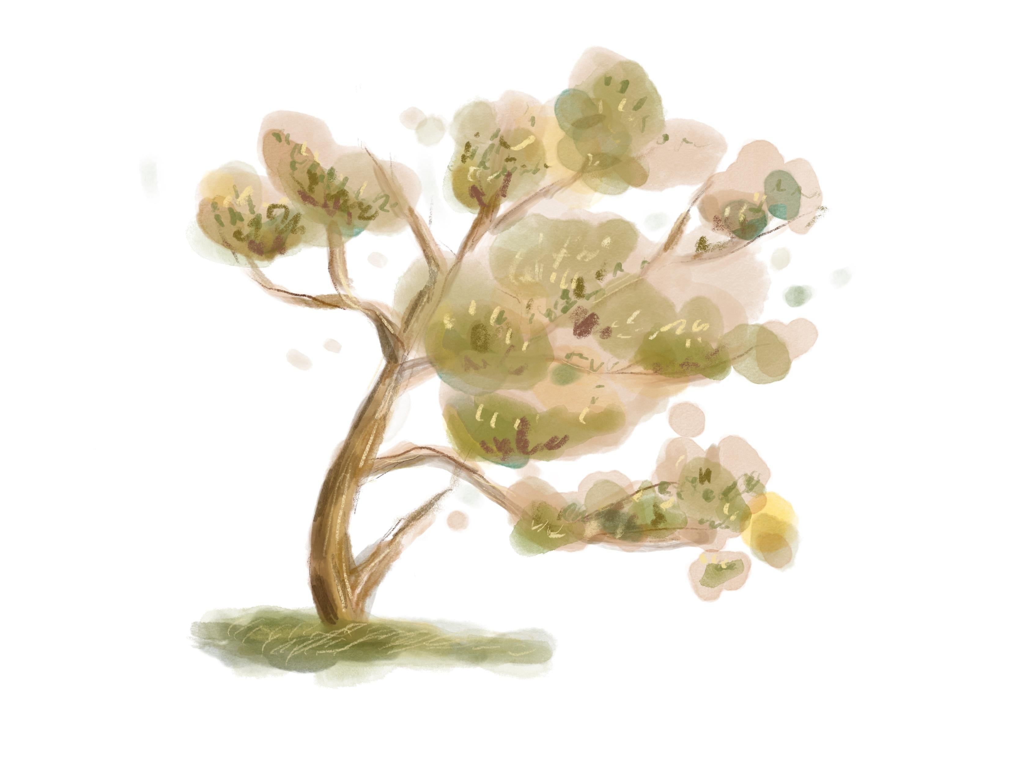 more-projects-from-class-img