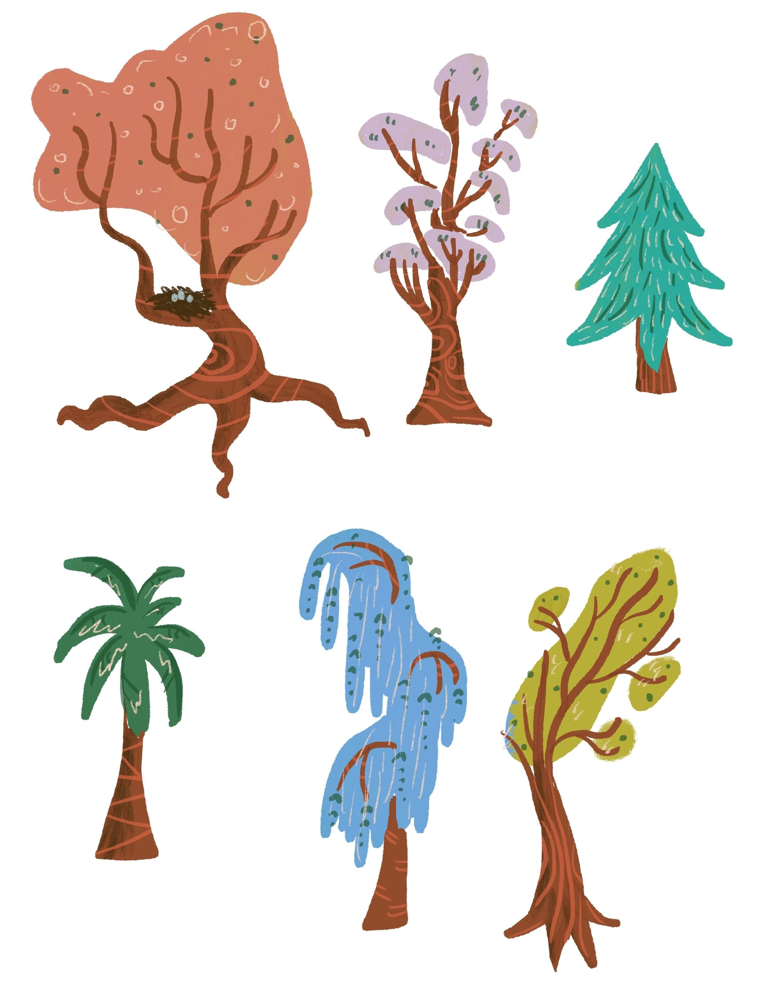 more-projects-from-class-img
