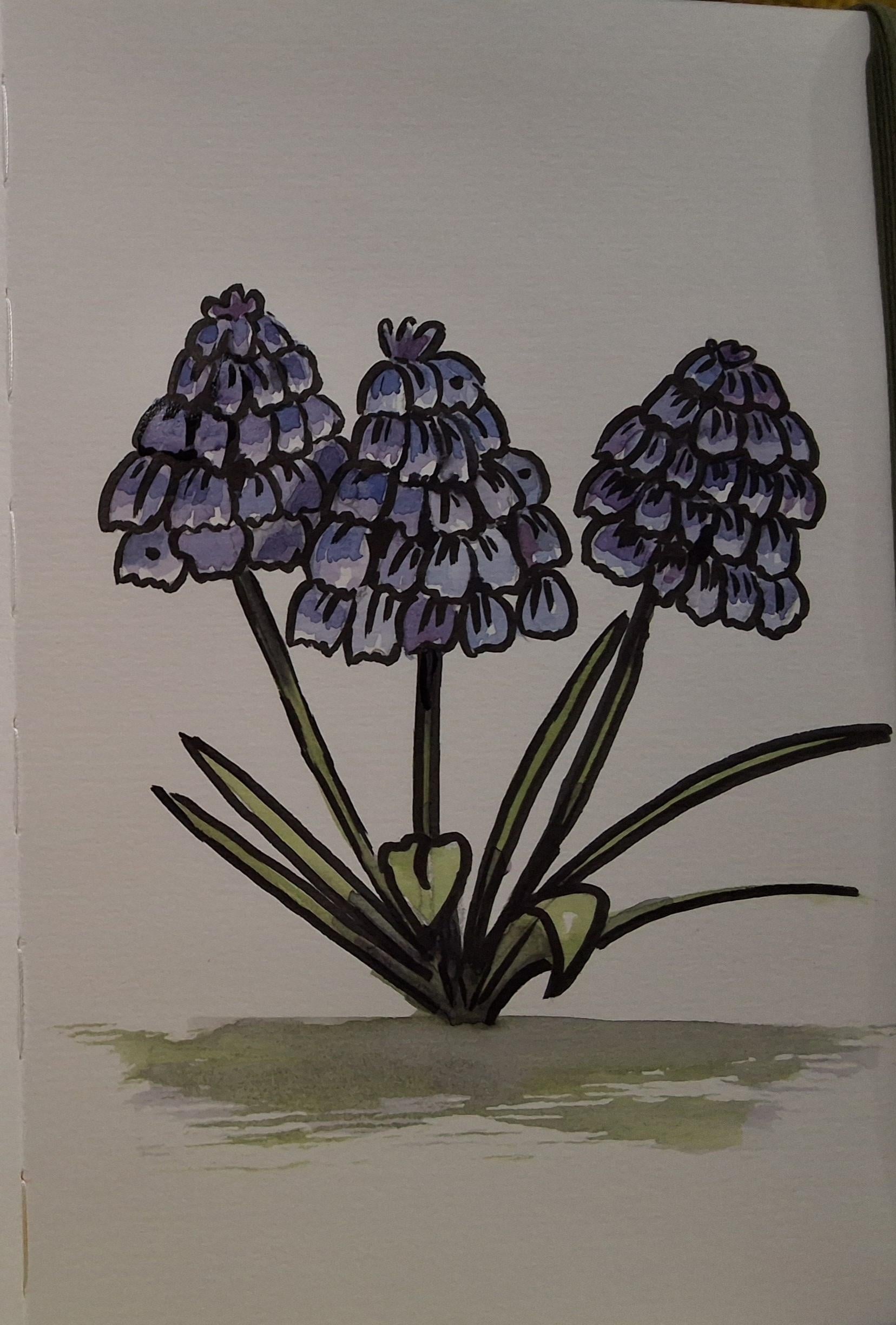 Easy ink and  wash - student project