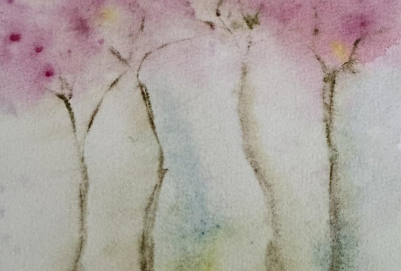 paint loose watewrcolor-sakura cherry blossoms