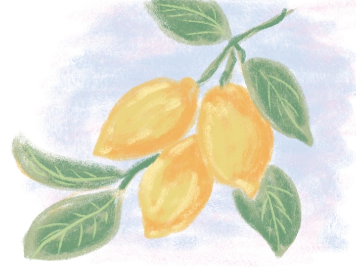 Lemons are the Best