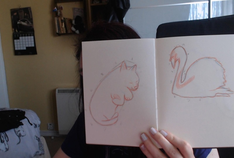 Quick Animal Sketch Practice