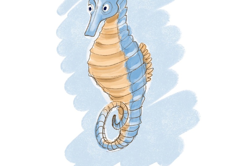 Seahorse