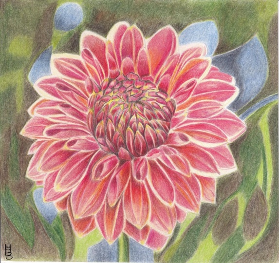 My Dahlia