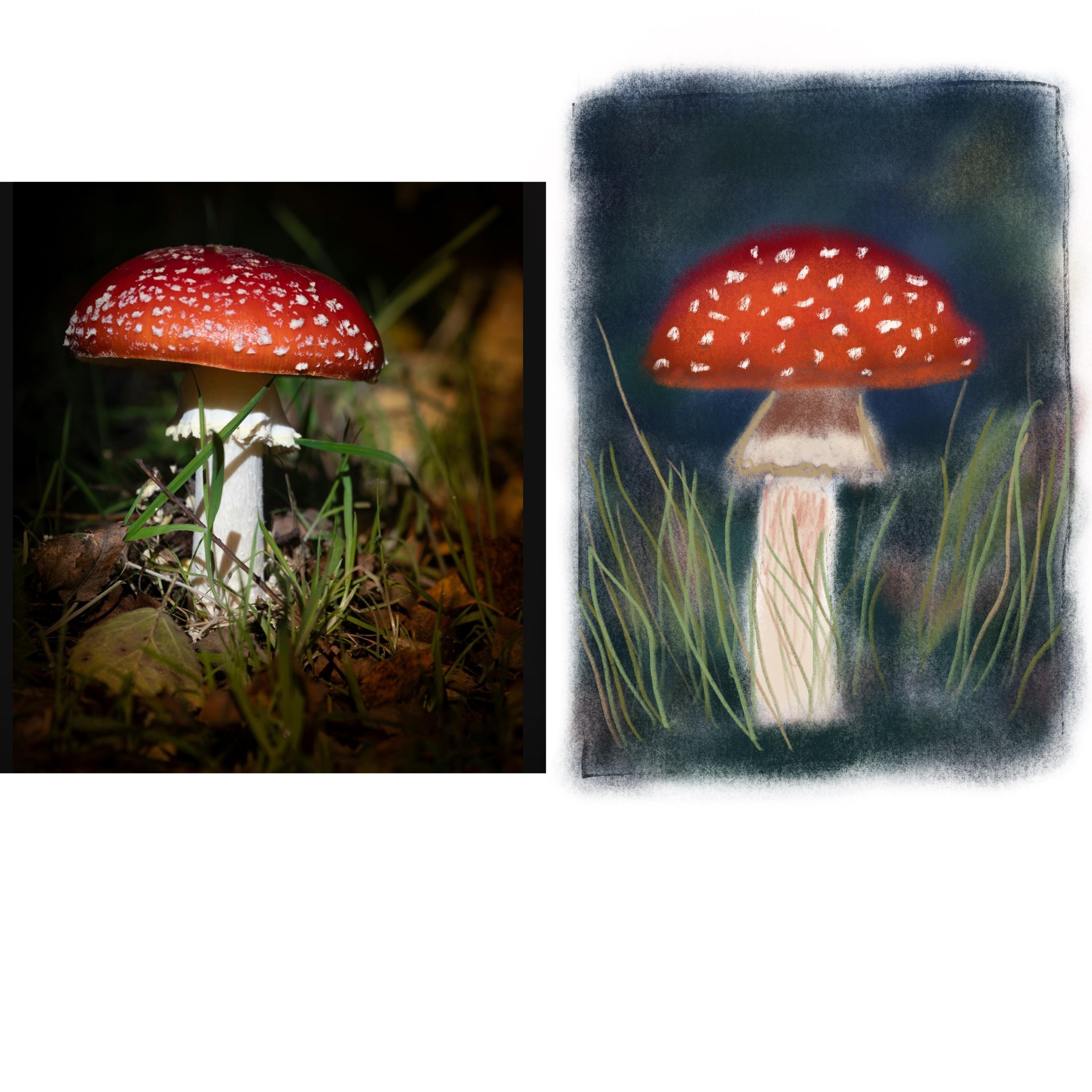 more-projects-from-class-img