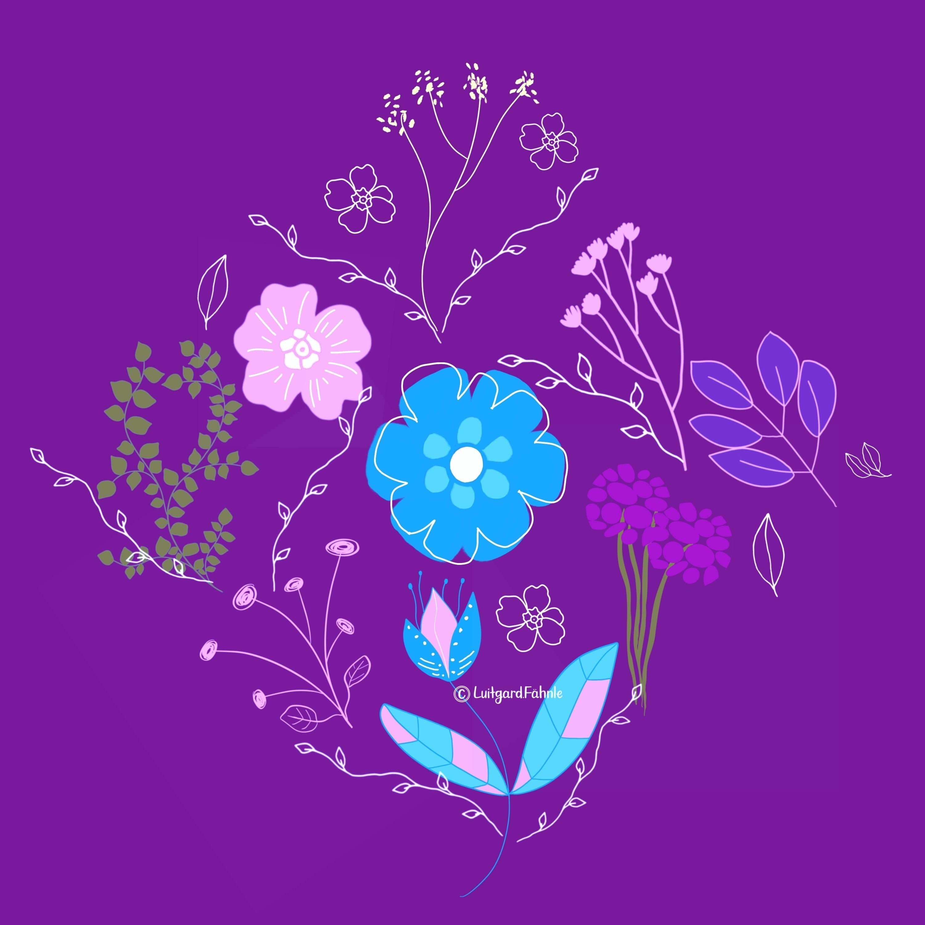 more-projects-from-class-img