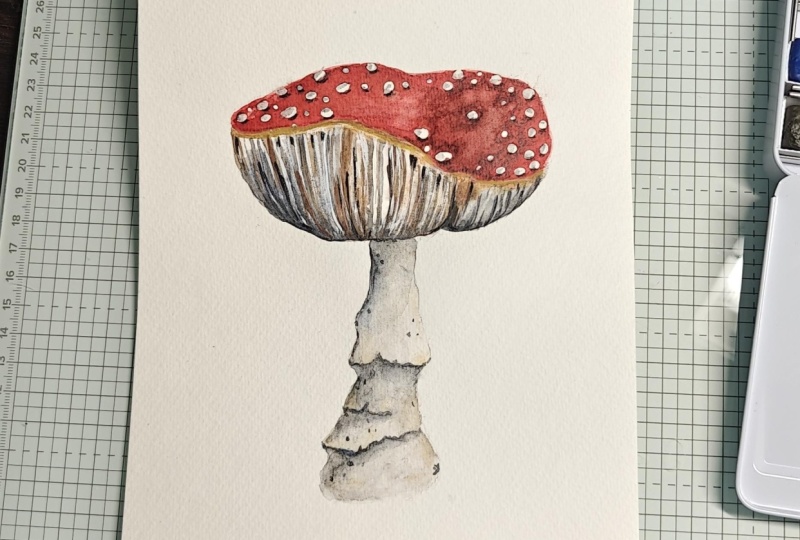 Sweet Mushroom
