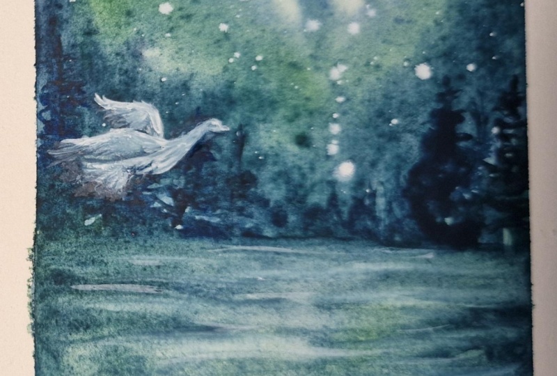 Bird in the night