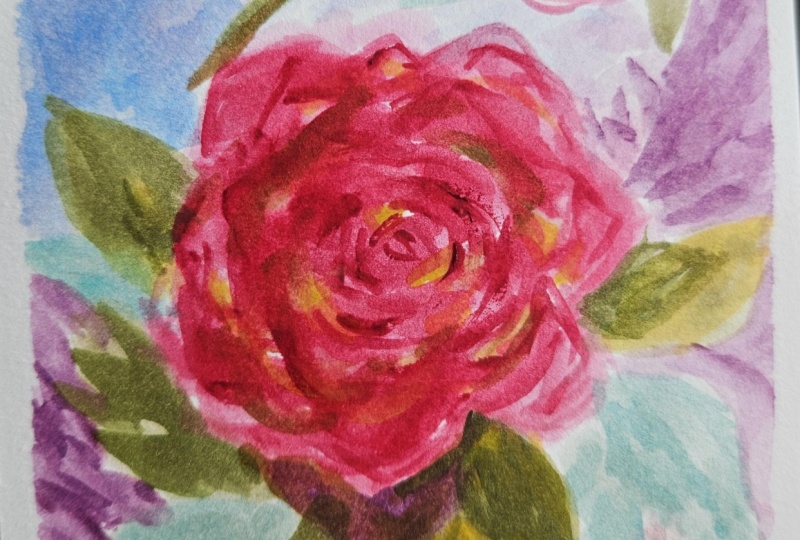 W/c rose 050226