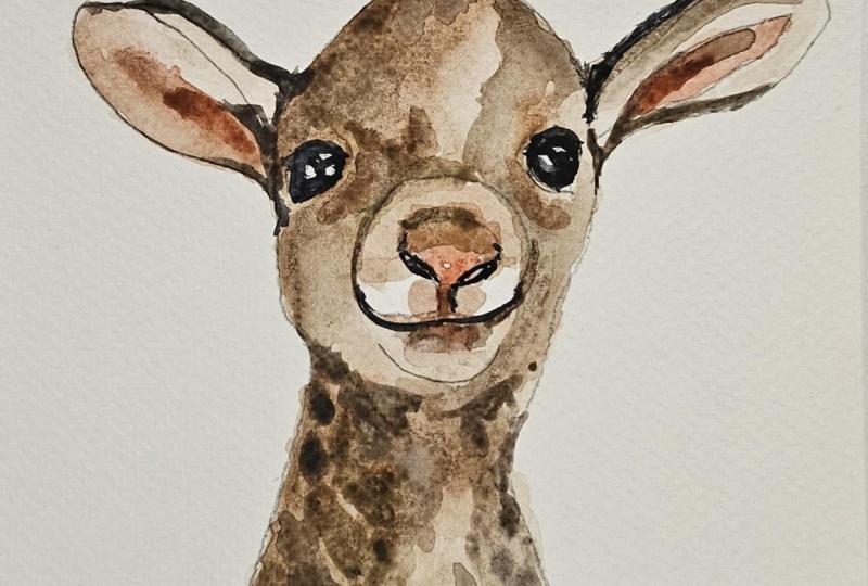 Little Lamb