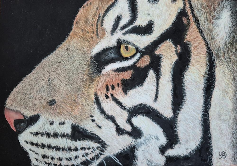 Tiger - student project