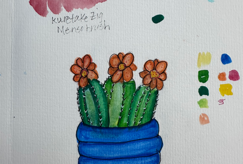 Delightful Cactus