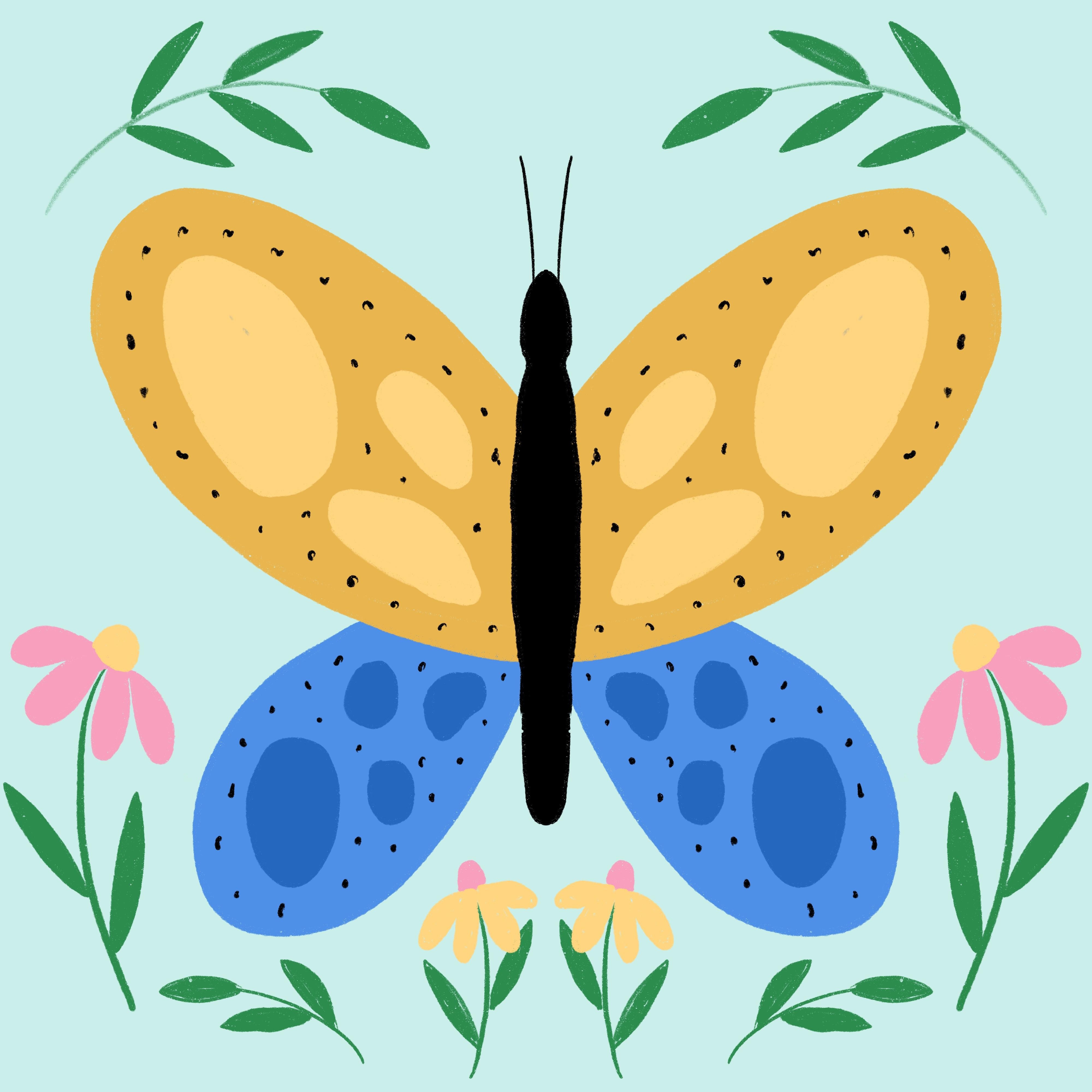 more-projects-from-class-img