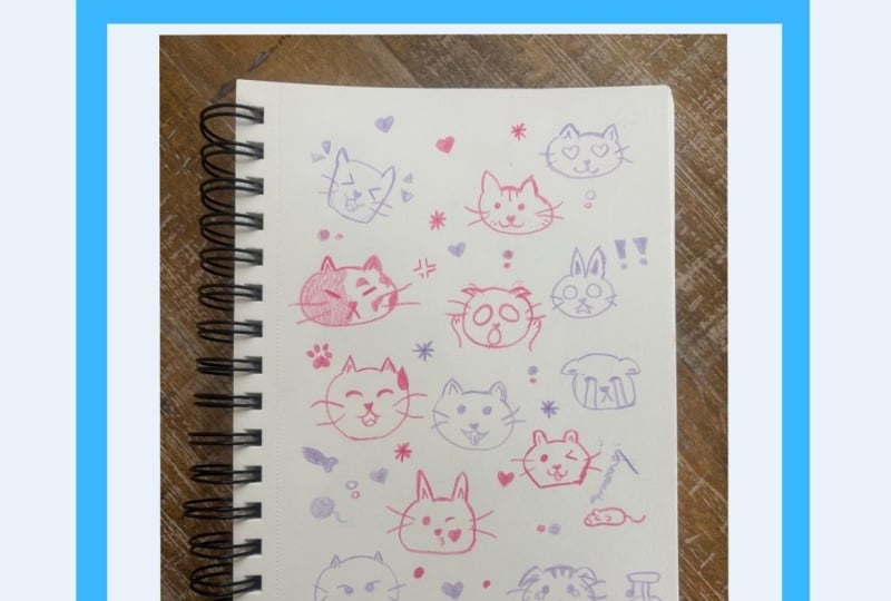 Sketching Cats